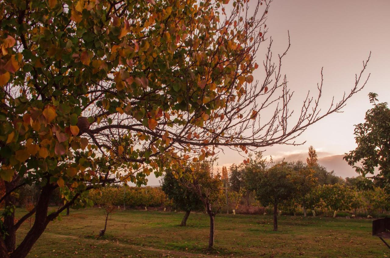 Finca Fisterra Maipú Exterior foto